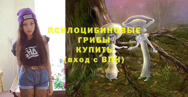 синтетический гашиш Богородицк
