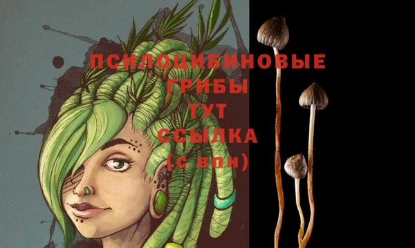 синтетический гашиш Богородицк