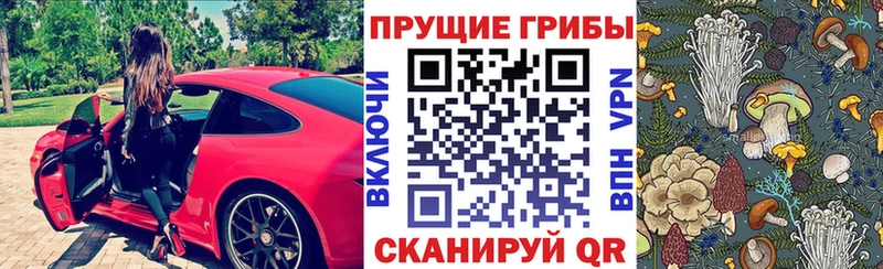 Псилоцибиновые грибы прущие грибы  KRAKEN   Мегион 